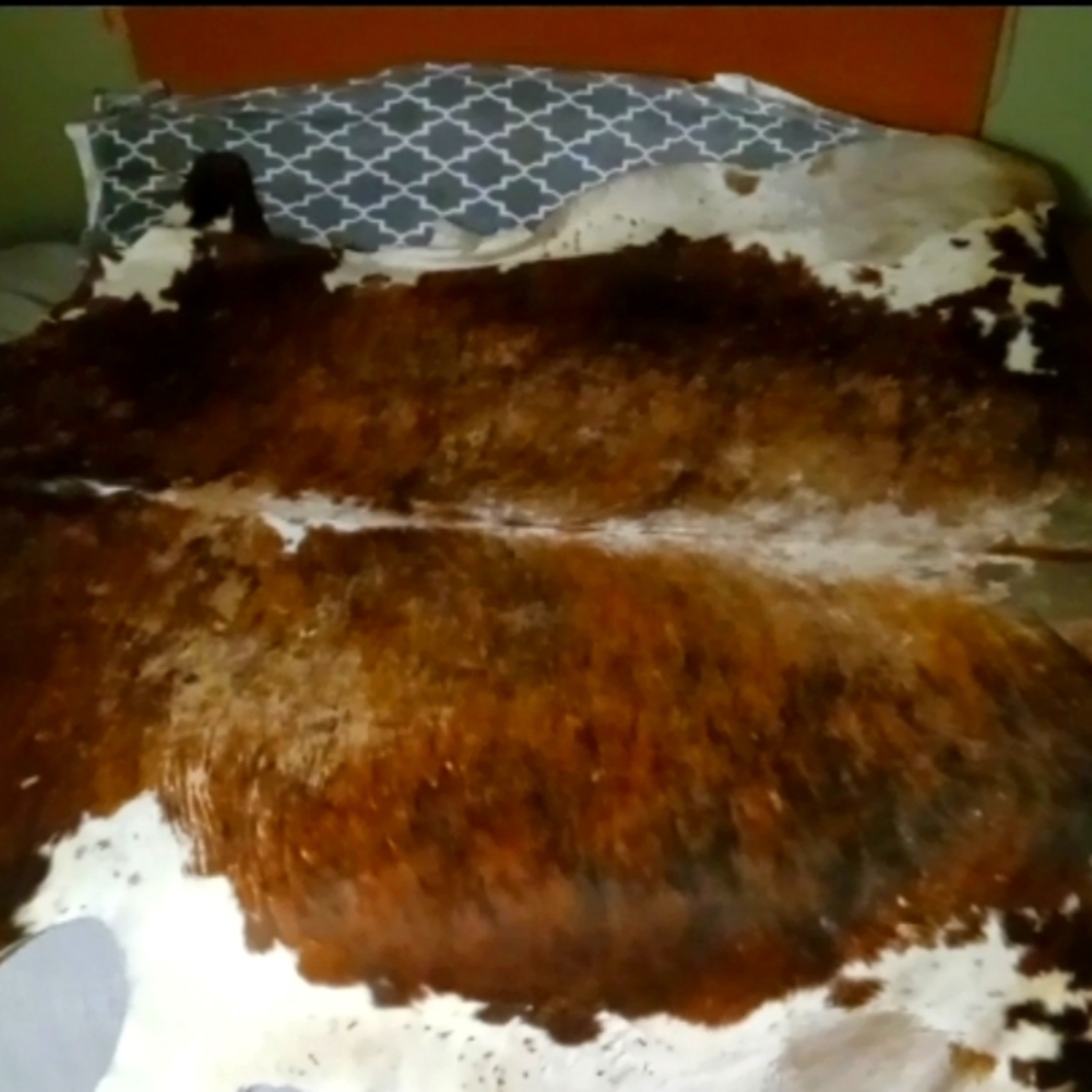XL Cow Hide